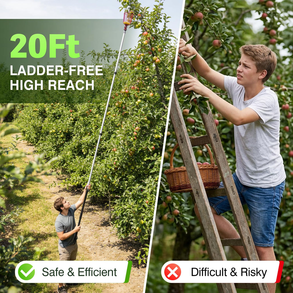 ARTIPOLY 20FT Reach Telescoping Fruit Picker, 4-12FT Adjustable Aluminum Pole with Basket, Lightweight Heavy Duty Tool for Harvesting Apples Mangoes Avocados Pears Lemons