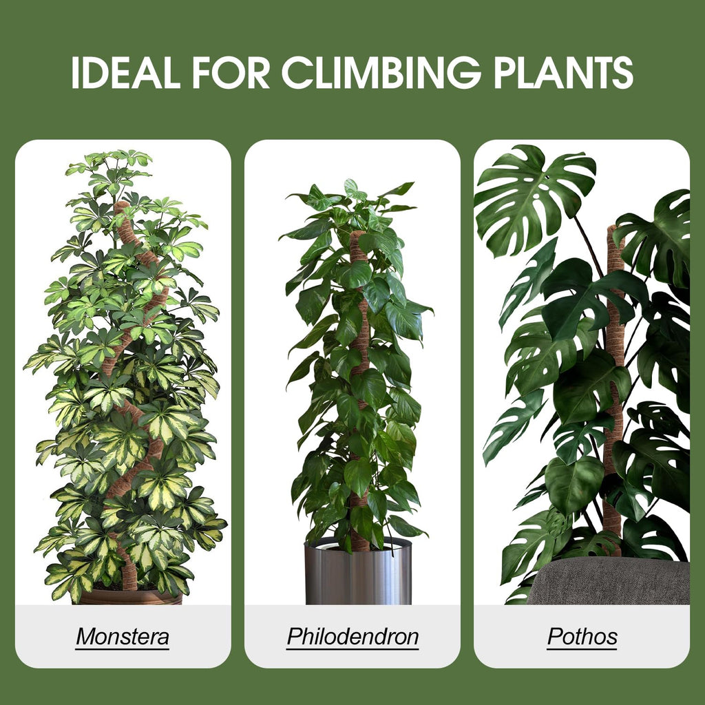 2 Pack Moss Pole 63 Inch Monstera Plant Sticks Support Tall Long Stakes
