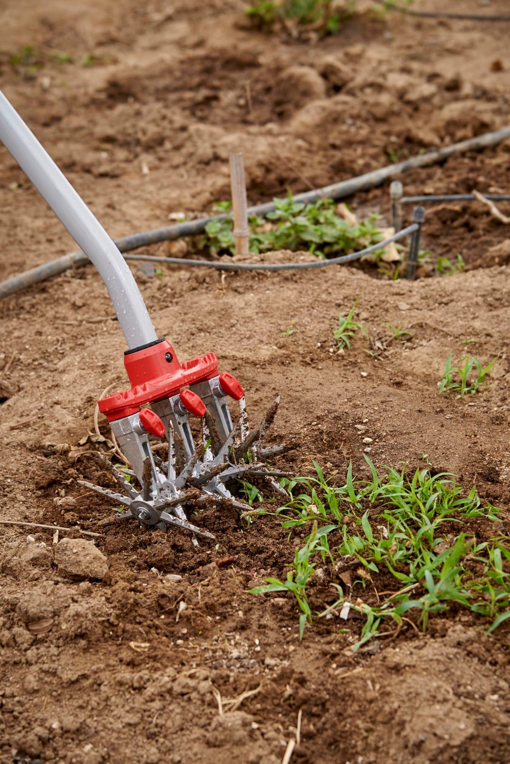 Corona LG 3634 DiscCULTIVATOR Garden Disc Cultivator, Red