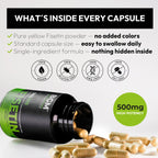BGM Fisetin 500mg Supplement | Cotinus Coggygria (Smoke Tree) Extract | 98% Pure Flavonoid | Antioxidant Support | Vegan Capsules | 30 Count