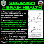 Vegan's Best Friend - Plant Based Multivitamin For Men & Women - Brain, Memory, Energy, Immune, Mood & Stress Support - Replaces 7 Supplements - Creatine, B12, D3, Choline, Zinc, Taurine - 40 Servings