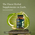 Gaia Herbs Sauerkraut Postbiotic - Gut Health & Immune Support Supplement* - Made with Fermented Sauerkraut - Free from Dairy, Soy & Gluten - 60 Vegan Liquid Phyto-Caps (30 Servings)