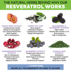 Extra Strength Resveratrol 1568mg - 180 Capsules - 3 Months Supply | Antioxidant Supplement | Natural Trans-Resveratrol Pills | for Anti-Aging, Heart Health, Immune System & Brain Function