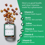 Salaam Nutritionals - Adult Multivitamins, Vitamin Gummies for Women and Men, Multivitamins for Adults with 11 Essential Vitamins and Minerals, 90 Count, 1 Pack.