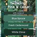 Glade PlugIns Refills Air Freshener, Scented and Essential Oils for Home and Bathroom, Twinkling Pine & Cedar, 3.35 Fl Oz, 5 Count