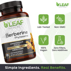 B’Leaf Nature Berberine Phytosome, 120 Capsules – 1100mg Berberine Supplement for Metabolic and Cardiovascular Support – Vegan, Gluten-Free, Non-GMO Berberine Phytosome Capsules for Immune Wellness