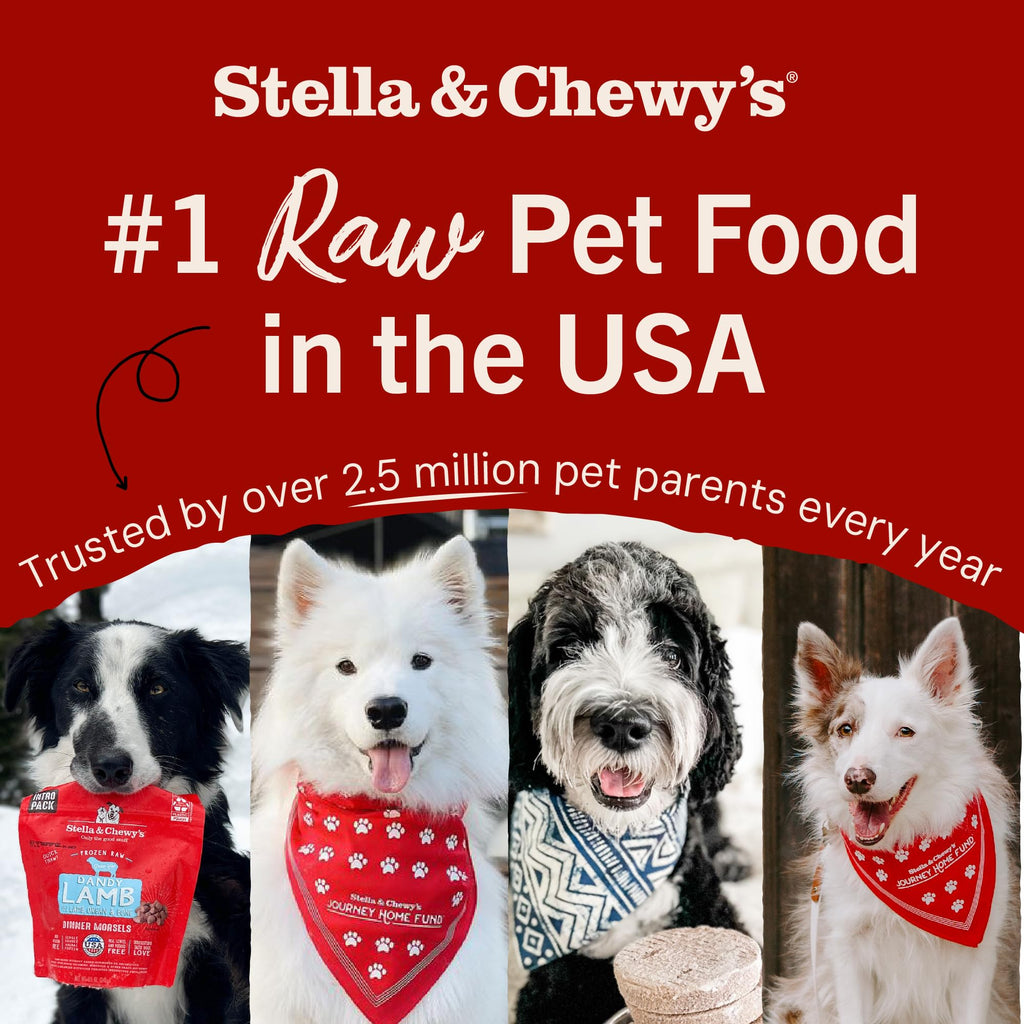 Stella & Chewy's Freeze Dried Raw Chewy’s Chicken Meal Mixers – Dog Food Topper for Small & Large Breeds – Grain Free, Protein Rich Recipe – 8 oz Bag
