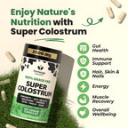 Immerge Health Super Colostrum Capsules - 120 Count High IgG Bovine Supplement for Gut Health, Hair Growth, Bloating & Immunity - 100% Grass Fed First Milking, Tasteless & Travel Friendly, USA Made