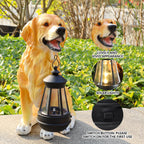 Golden Retriever Statue, Resin Solar Dog outdoor statues Holding Lantern