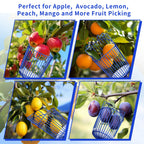 Ginbel Direct Fruit Picker Pole with Basket, Adjustable Fruit Tool for Apple Avocado Cherry Citrus Lemon Orange Peach Picking(40-100")