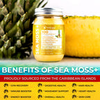 WELLNESS LABSRX Irish Sea Moss Gel Raw - Wildcrafted Superfood Seamoss Gel - Pineapple Flavor, Vitamin and Mineral-Rich from Pristine Caribbean Waters, Immune and Digestive Health Support - 10 oz.