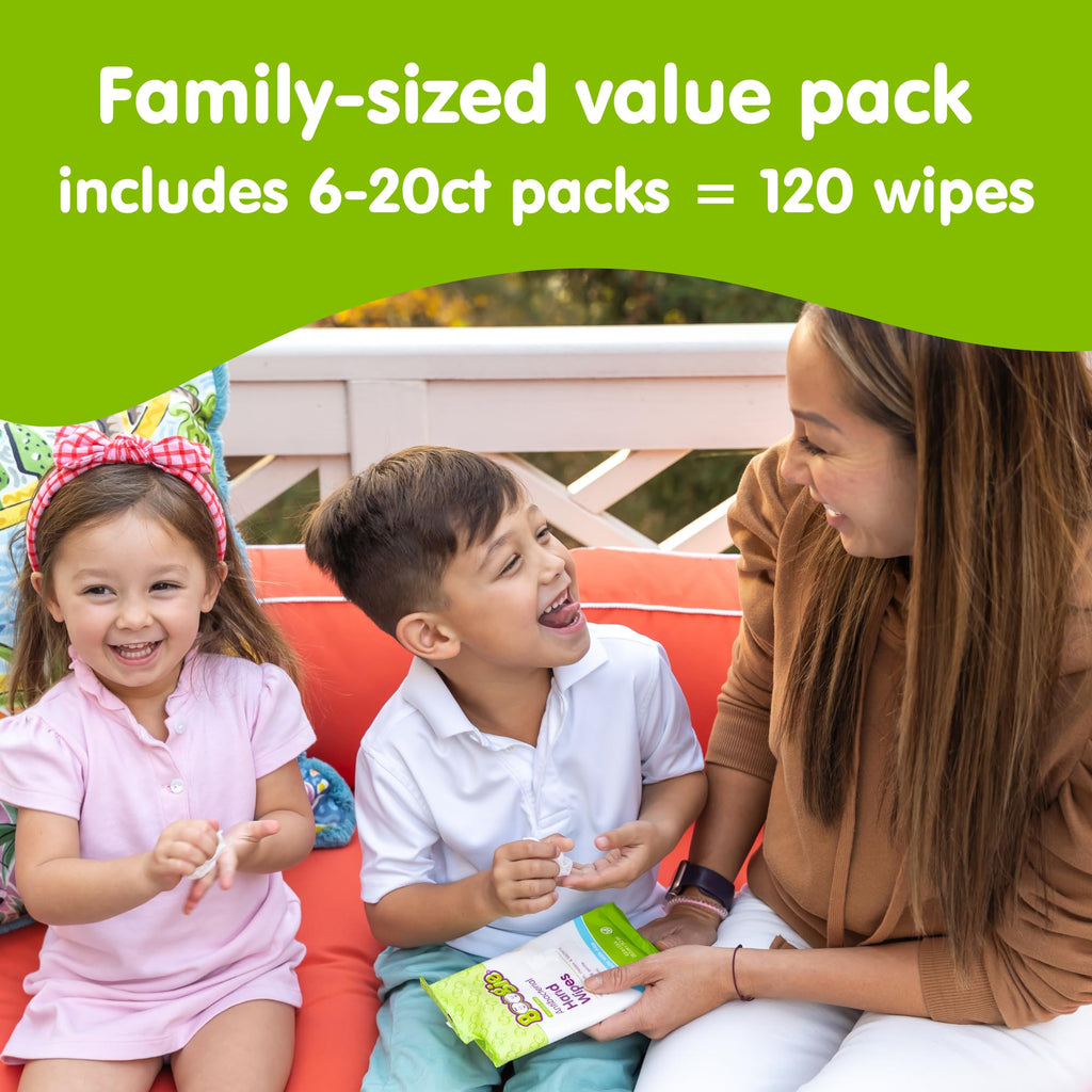 Antibacterial Hand Wipes by Boogie, Alcohol Free, Hypoallergenic and Moisturizing Aloe, Hand Wipes for Kids and Adults, 6 Packs of 20 (120 total wipes)