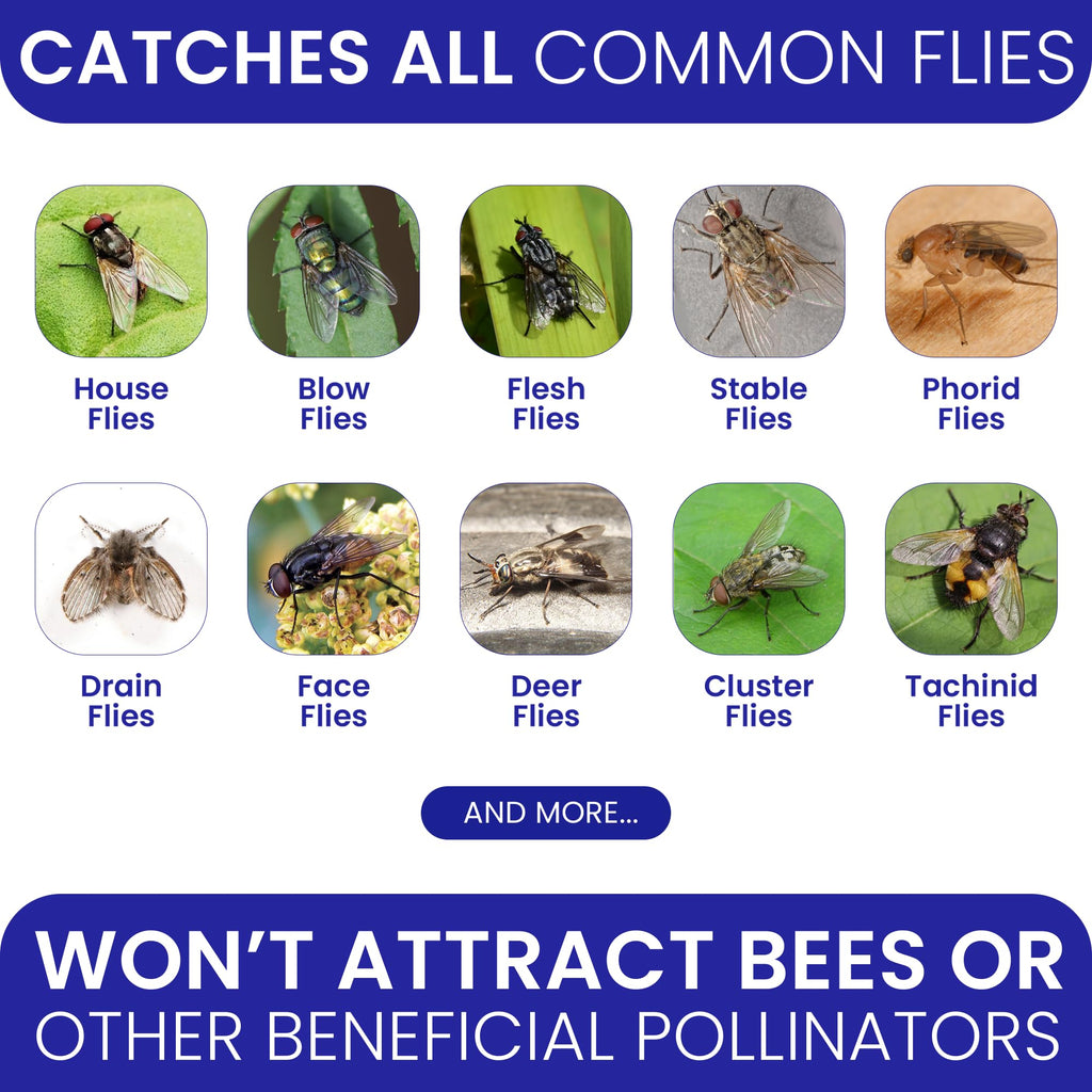 3 Fly Traps Outdoor Fly Trap for Patio with 6 Non-Toxic Dissolvable Bait Refills. Reusable Hanging Bug Catcher Killer for All Filth Flies for Outside Bug Control Yard Ranch. Hanging Chains Included.