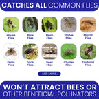 3 Fly Traps Outdoor Fly Trap for Patio with 6 Non-Toxic Dissolvable Bait Refills. Reusable Hanging Bug Catcher Killer for All Filth Flies for Outside Bug Control Yard Ranch. Hanging Chains Included.