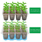 Bonviee 10-Pack Seed Starter Trays, Tall Dome, Base, 12-Cell Tray, Clear