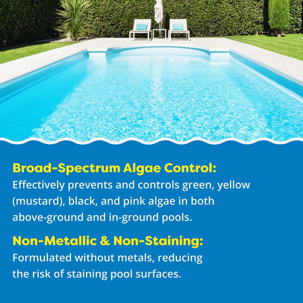 In The Swim Algaecide 60 Plus for Swimming Pools - Non-Metallic, Low Odor, Non-Foaming Algae Bloom Preventative - Chlorine Sanitizer Compatible - 1 Quart