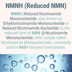 SHIZAM NMN NMNH NAD+ Gummies – NAD Supplement with Reduced Nicotinamide Mononucleotide, TMG (Trimethylglycine, Betaine) & Trans-Resveratrol, Methylated B-Complex