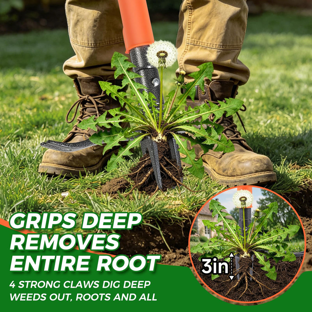 RexWeed Stand Up Weed Puller Tool, 4-Claw Steel Head Deep Root Extractor with Dual-Eject Design, Real Bamboo Long Handle & Metal Anti-Slip Pedal, No Bending Dandelion Remover for Garden Lawn Yard