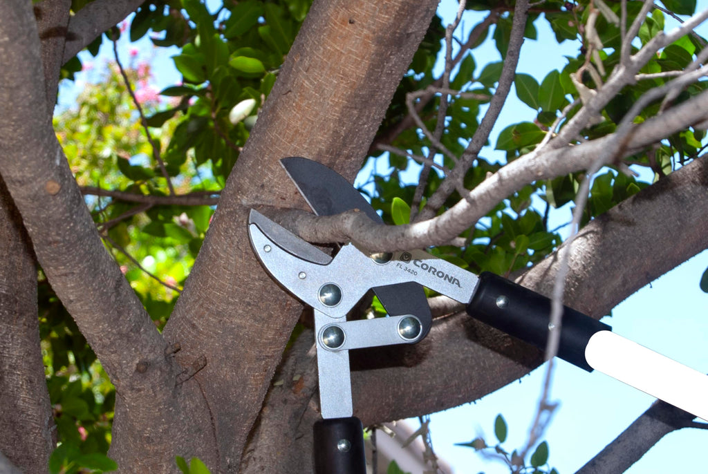 Corona Tools Compound Action Anvil Lopper – 32-Inch Heavy-Duty Branch Cutter for Tree Trimming & Pruning, Garden Loppers for Thick Branches