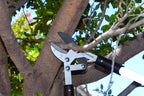 Corona Tools Compound Action Anvil Lopper – 32-Inch Heavy-Duty Branch Cutter for Tree Trimming & Pruning, Garden Loppers for Thick Branches