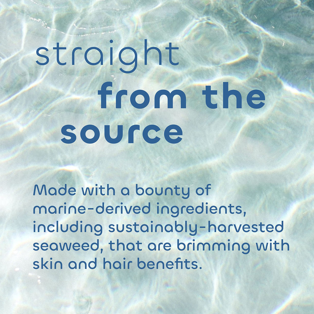 Seaweed Bath Co. Hydrate Body Cream, Citrus Vanilla Scent, 6 Ounce, Nourishing Hand & Body Lotion Moisturizer for Dry Skin, with Sustainably Harvested Seaweed, Kukui Oil, Hyaluronic Acid, Shea Butter