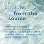 Seaweed Bath Co. Hydrate Body Cream, Citrus Vanilla Scent, 6 Ounce, Nourishing Hand & Body Lotion Moisturizer for Dry Skin, with Sustainably Harvested Seaweed, Kukui Oil, Hyaluronic Acid, Shea Butter