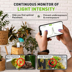 RainPoint 3-in-1 APP Remote Monitoring WiFi Soil Meter Indoor/Outdoor