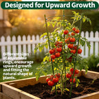 Gootaimi Large Tomato Cages, 24 Inch Tomato Cages for Garden, Plant Support Cages for Tomatoes, Potted Indoor Outdoor Plants, Flower Vine Climbing Plant Tomatoes Trellis, 2 Packs