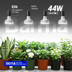 Barrina OG11A Grow Light Bulbs for Indoor Plant, 5000K 11W, 4 Packs, White