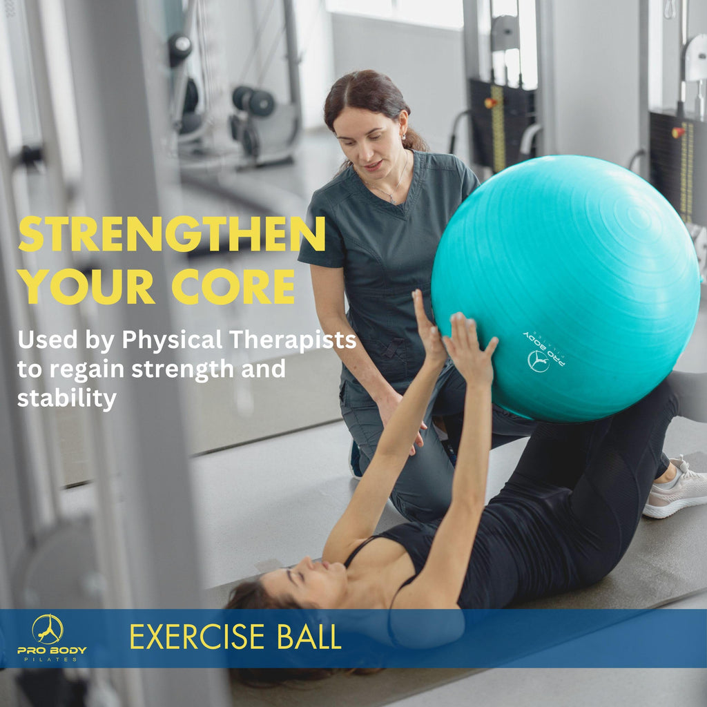 ProBody Pilates Exercise Ball - Multiple Sizes Gym Grade Balance Ball for Fitness, Workout, Pregnancy & Physical Therapy, Stability Yoga Ball Chair (Blue, 55cm)