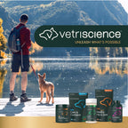 VetriScience Dental Care Powder for Dogs and Cats, 4.2 oz