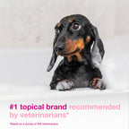 Douxo S3 Calm Dog Shampoo for Itchy Skin Relief, Dog Shampoo for Allergies and Itching, Soothes Itchy, Irritated or Allergic Skin For Dogs and Cats, 6.7 fl oz