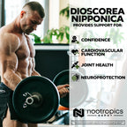 Nootropics Depot Dioscorea nipponica Capsules | 400mg | 40% Protodioscin | Wild Yam | 60 Count