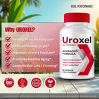 Uroxel Capsules, Advanced Uroxel Prostate Health Supplements - Bladder Comfort & Daily Urinary Support -Maximum Strength for Daily Wellness & Comfort, All Natural Support Uroxel Reviews (2 Pack)