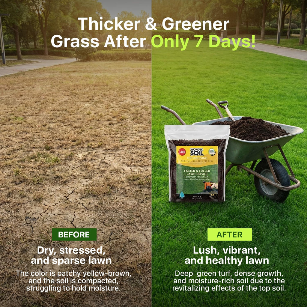 Premium Nutrient-Rich Stretch Coir Blend - 10 lbs Covers Up to 400 Sq Ft - Grow Thicker, Greener Grass in Heat Conditions of