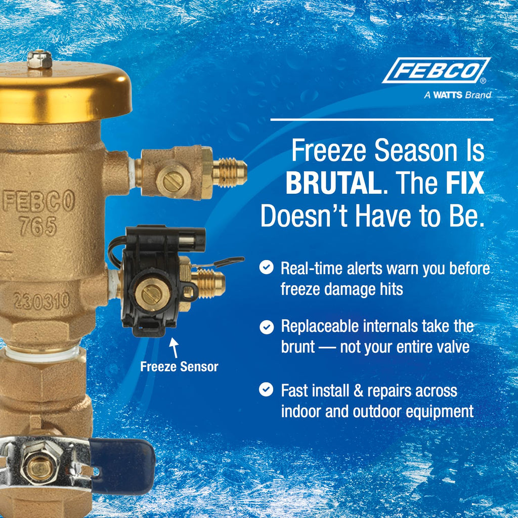Febco 765 Series 2" Bronze Pressure Vacuum Breaker Backflow Preventer, Quarter Turn Shutoff, NPT Connections, Spring-Loaded Check Valves, Max Pressure 150 psi, Industrial Plant, Irrigation System