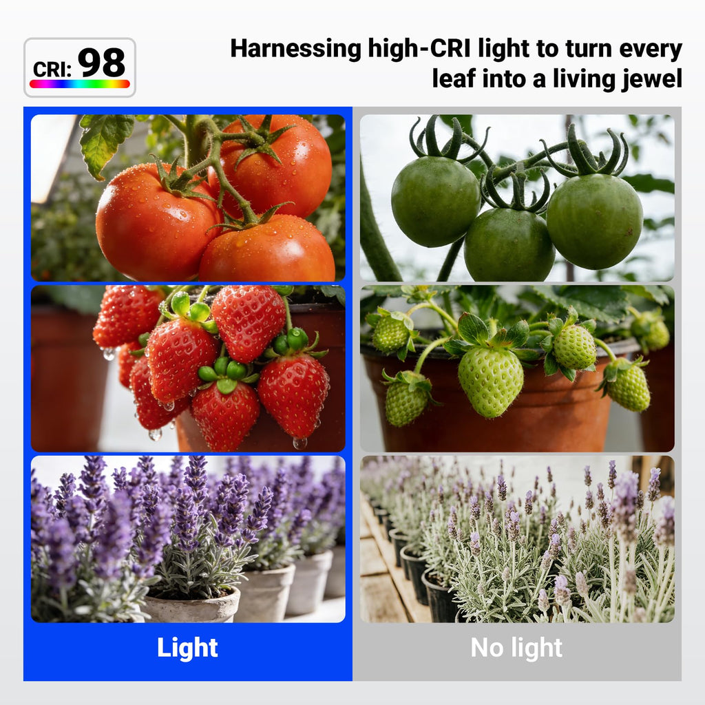 Barrina OG11A Grow Light Bulbs for Indoor Plant, 5000K 11W, 4 Packs, White