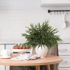 12Pcs Christmas Norfolk Pine Stems, 24'' Real Touch Branches Greenery Picks