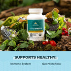 Ancient Nutrition Regenerative Organic Certified SuperFruits Capsules, Supports Gut and Immune System Health, Made with Probiotics, Dragonfruit, Mulberry, and Goji, 60 Count