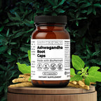 Santa Cruz Paleo, Ashwagandha Root with BioPerine, Herbal Supplement for Focus, Stress Support Adaptogen for Men and Women, Gluten Free, Vegetarian, Keto Friendly, 600MG Capsules, 60 Count