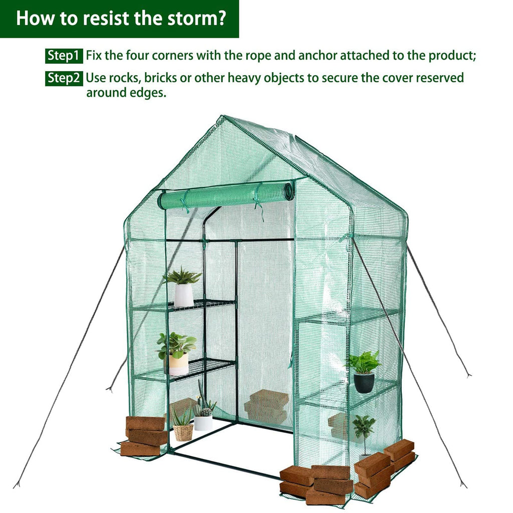 Portable Walk-in Greenhouse for Outdoors, 56x30x76 Plant House with Shelves