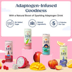 Juni Sparkling Adaptogen Drink, Mood and Focus, Variety 12 Pack