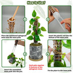 Small Moss Pole for Monstera - Stackable & Refillable Plastic Moss Poles for Climbing Plants with Large Mesh Design (12Pack-White-Small)
