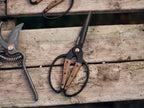 Barebones Garden Scissors - Walnut Scissors - Garden Supplies and Indoor Plant Accessories - Plant Shears with Wide Handles - Comfortable Fit Hand Pruners (Large)