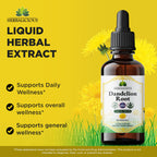 HERBALICIOUS Dandelion Root Extract Liquid Drops 4 oz (Alcohol Free) – Organic Dandelion Root Extract 650mg per Serving, Easy-to-Use Liquid Tincture with Vegetable Glycerin, 168 Servings