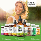 Olive Leaf Liquid Extract - Organic Olive Leaf Supplement for Immune Support - Vegan, Alcohol Free Tincture - 4 fl oz