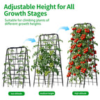 DOLEMODUO Heavy Duty Trellis for Climbing Plants, 50"x17" Adjustable Height Steel Cucumber Trellis, Powder Coated Metal Garden Trellis for Raised Beds,Tomatoes, Cucumbers & Outdoor Vines
