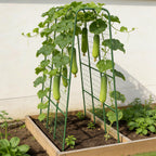 Cucumber Trellis for Raised Bed, 63" Heavy Duty U-Shape Garden Trellis for Climbing Plants Outdoor, Rustproof Plastic Metal Arch Vegetables Trellis Plant Support for Vine, Fruits, Beans and Flowers