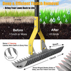Heavy Duty Thatch Rake for Lawns -15" Dual-Action Dethatcher Thatching Rake with Sharp Blade for Dead Grass Removal,Soil Loosening,Lawn Dethatching,70" Manual Thatcher for Yard,Garden, Lawn