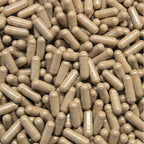 Blue Vervain Capsules - 480 Count